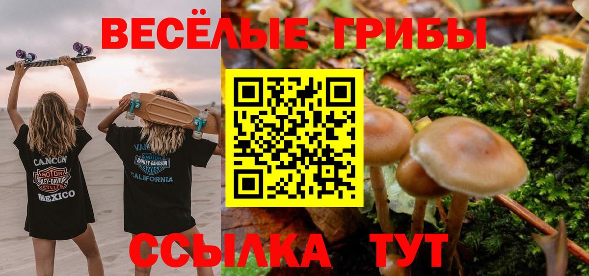 Гагарин  Псилоцибиновые грибы ЛСД  Вход с VPN  Галлюциногенные грибы Psilocybine cubensis 