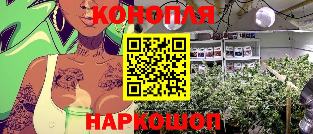 Конопля конопля  Вход с VPN  Бошки Шишки тримм  Гагарин 